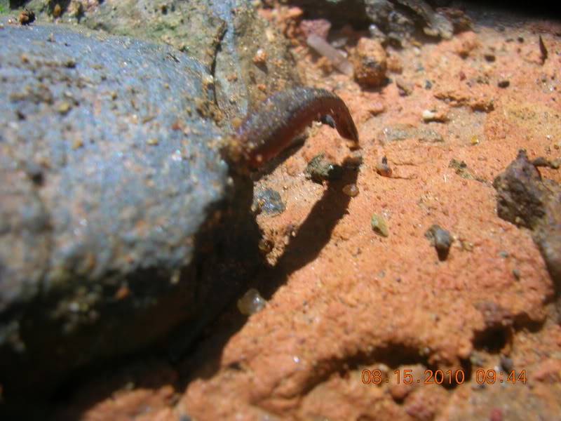 DSCN9012.jpg