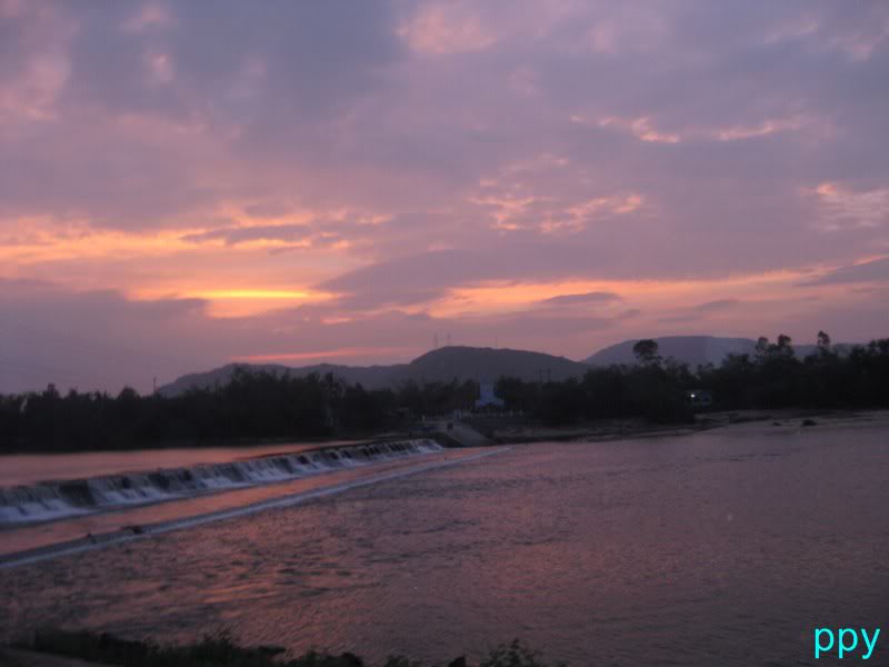 IMG_4956800x600.jpg