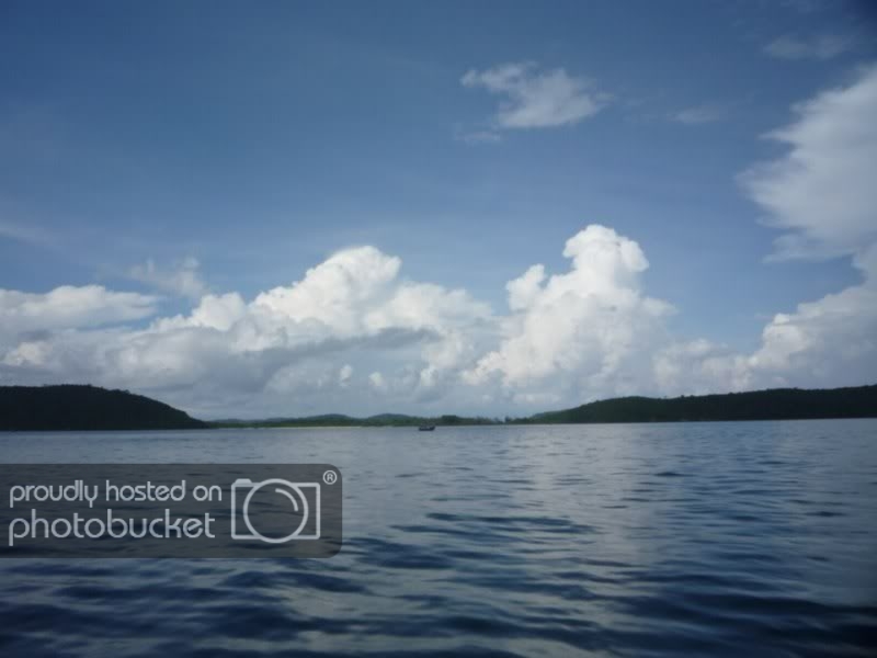 P1010428DesktopResolution800x600.jpg