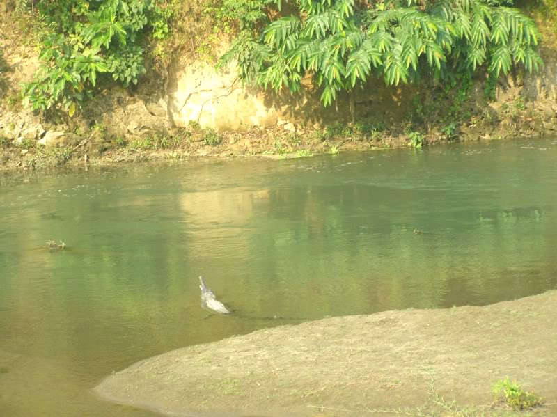 PB140318.jpg