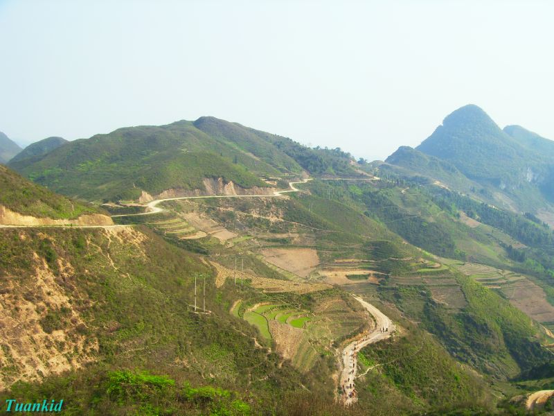 SDC16599.jpg