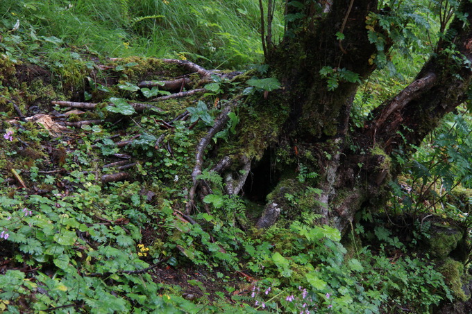 IMG_9467.jpg