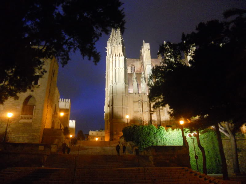 DSCN6520.jpg