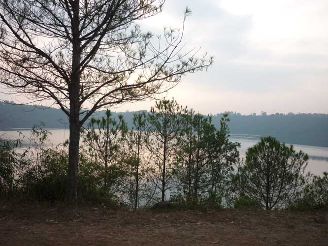 P1030804.jpg