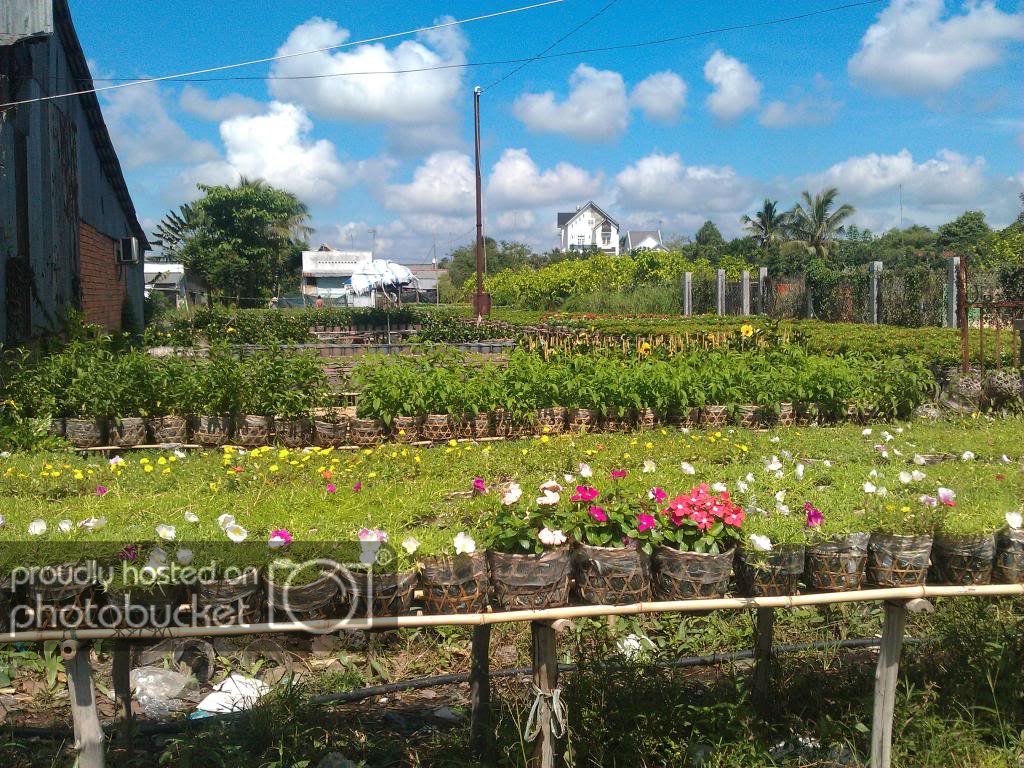 IMAG2098_zps0b660956.jpg