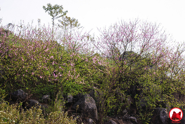 9076850750_f16ab680a6_z.jpg