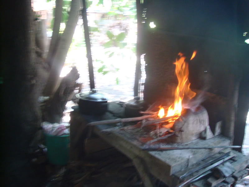 DSC06590.jpg