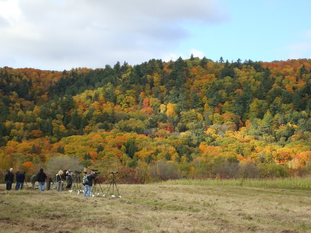 DSC04941.jpg