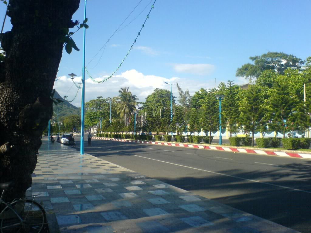 DSC00050.jpg