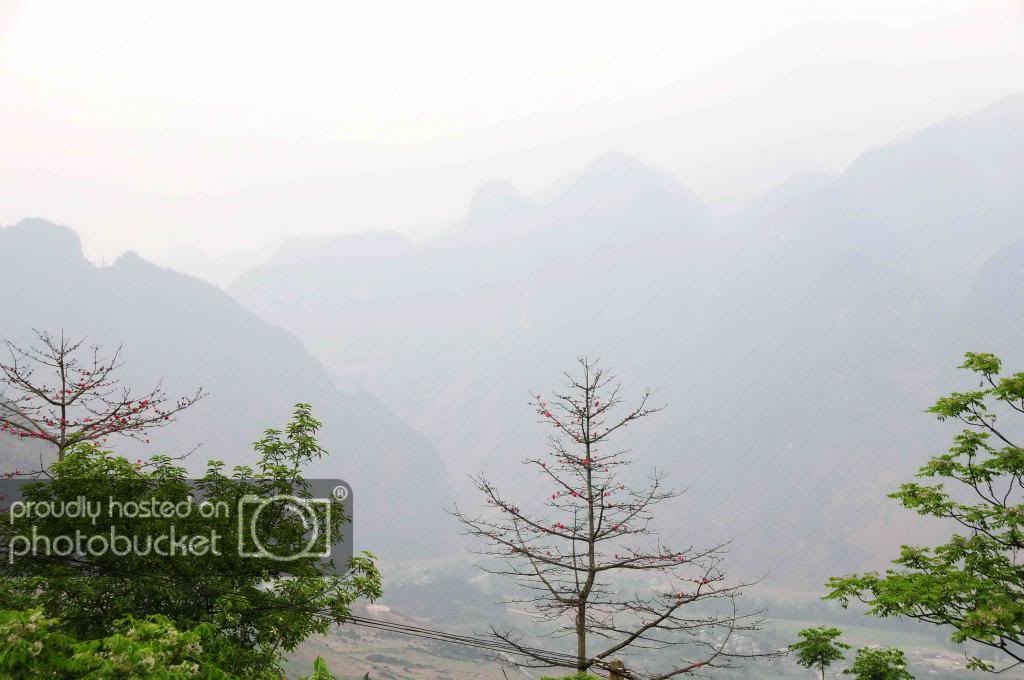 DSC_9527_zps84e876f1.jpg