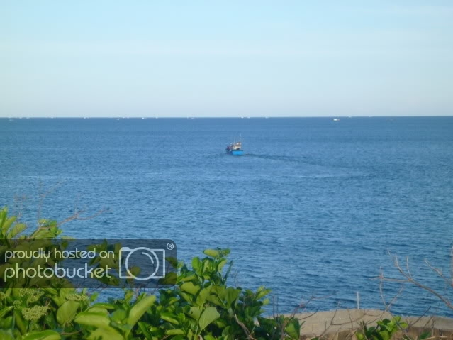 P1040732_resize.jpg