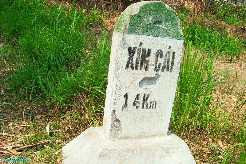 SDC16545.jpg