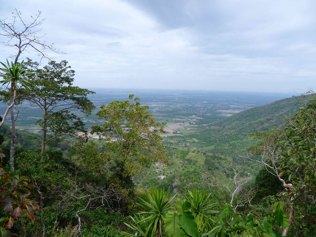 P1030167.jpg