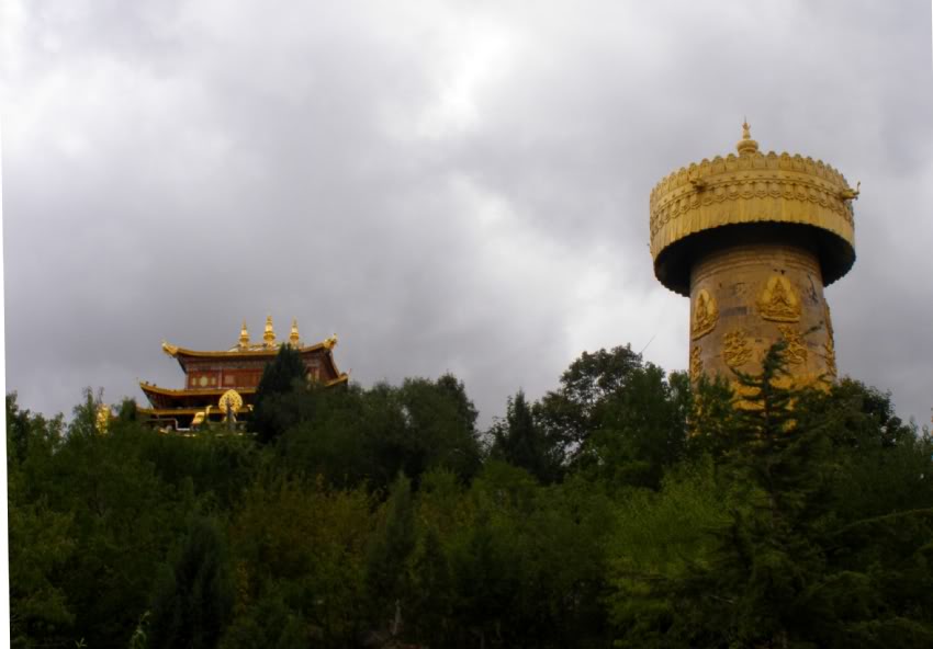 PA030130-1.jpg