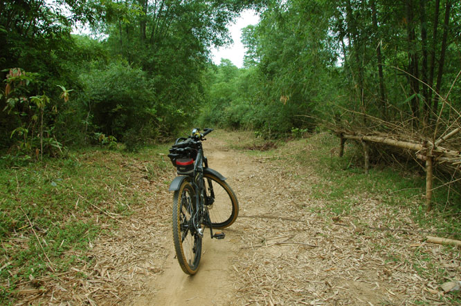 DSC_4004.jpg