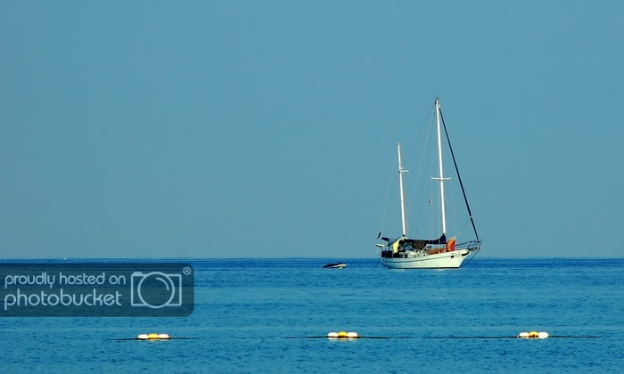 DSC_6865_resize.jpg