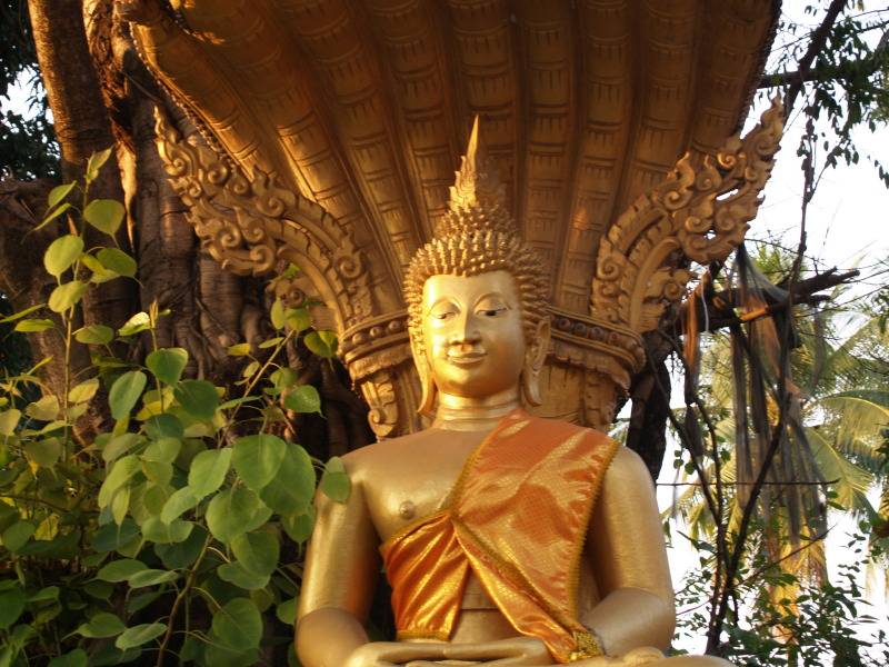 watsimuang4.jpg