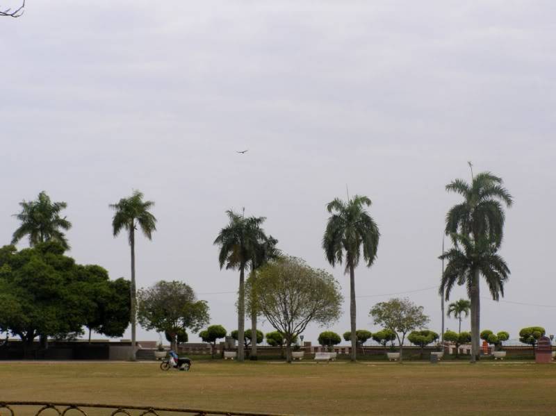 P1290181.jpg