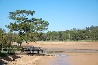 DSC_19.jpg