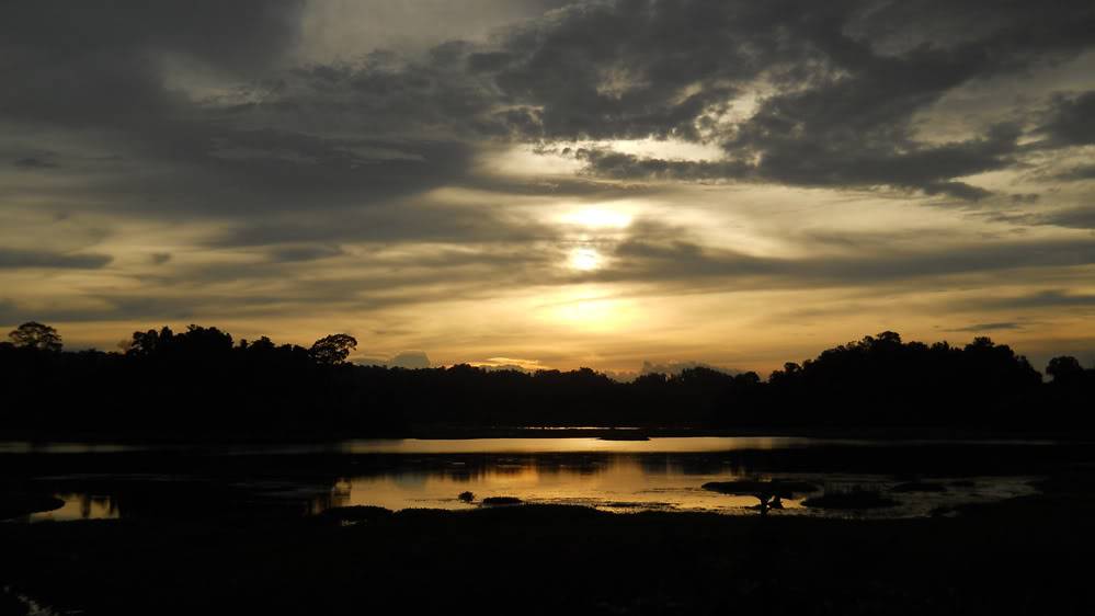 1DSCN1131.jpg