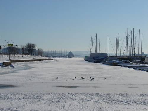 DSC01406.jpg