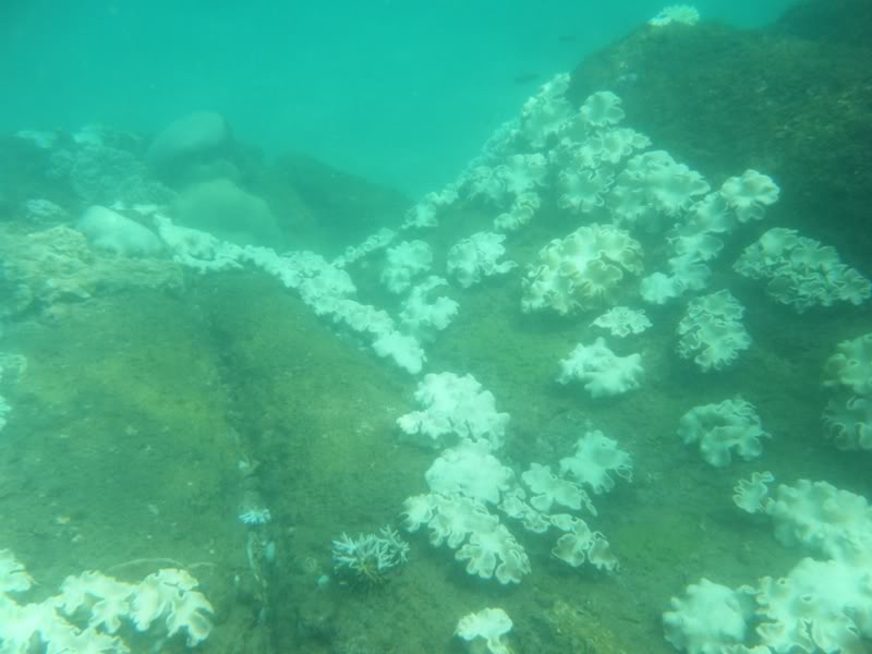 DSCF0126.jpg