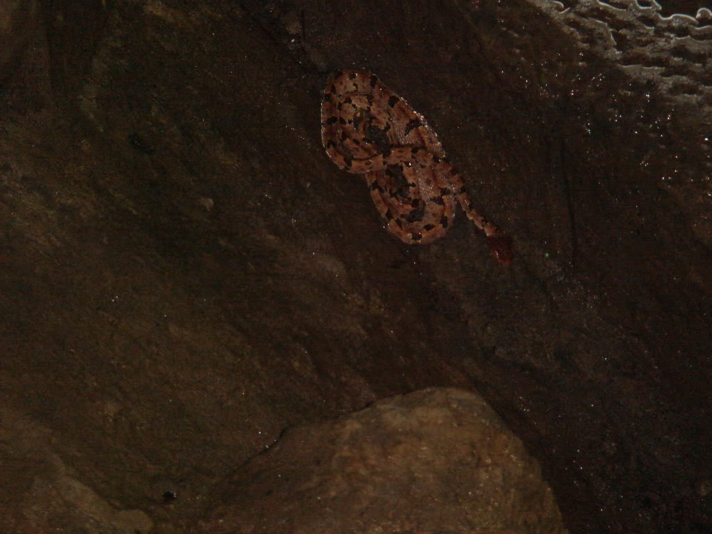 DSC00702.jpg