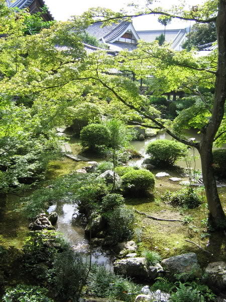 IMG_1287_resize.jpg
