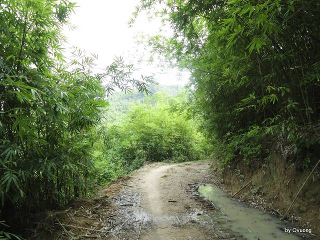 DSC03810.jpg