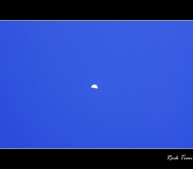 7287233260_cf65eaf61d_z.jpg