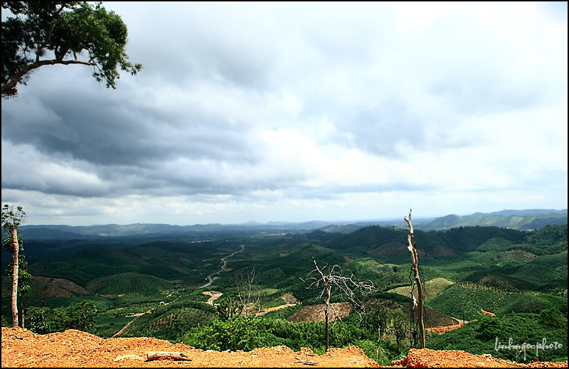 BL02.jpg