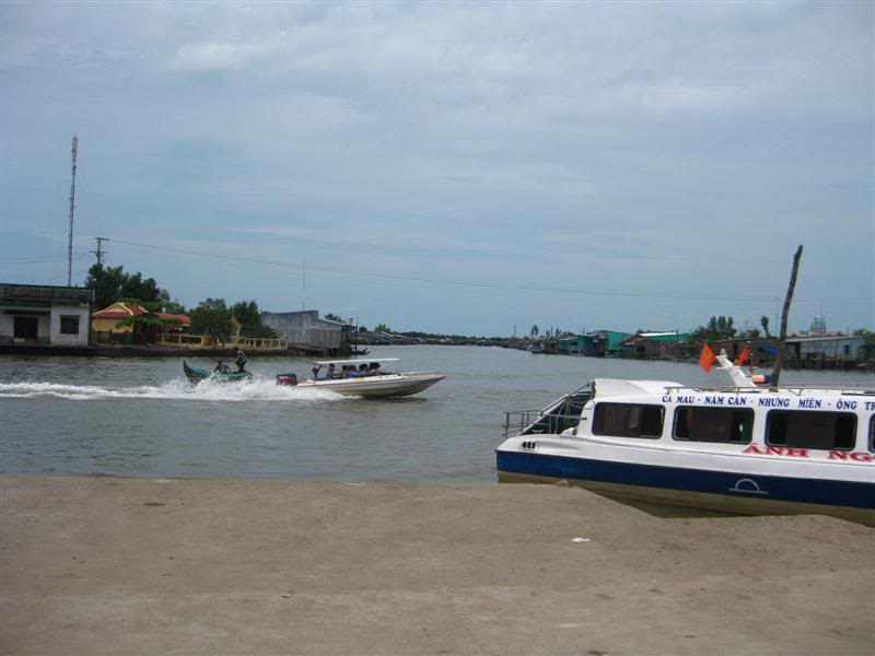 IMG_6586Medium.jpg