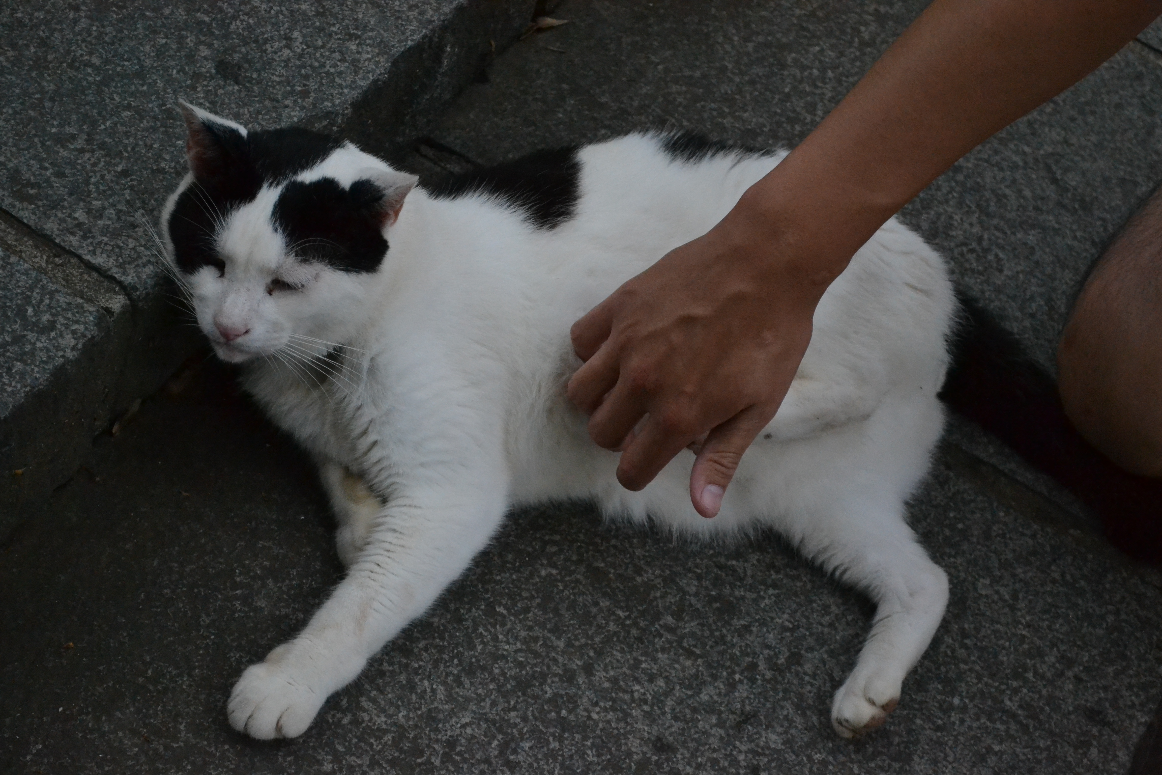 dsc_0586.jpg