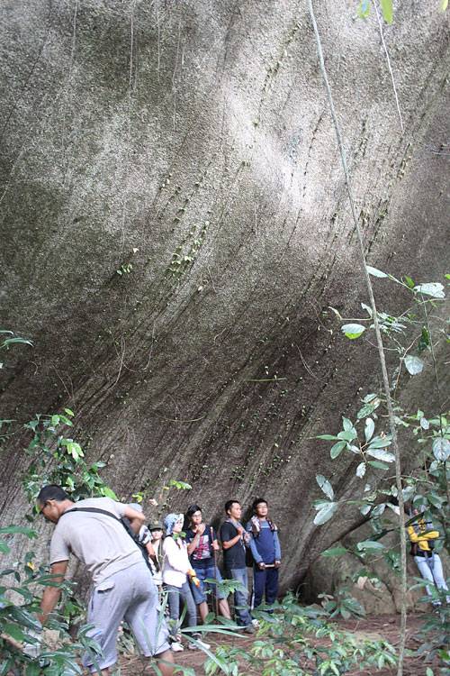 1255_2_zps384e73e8.jpg