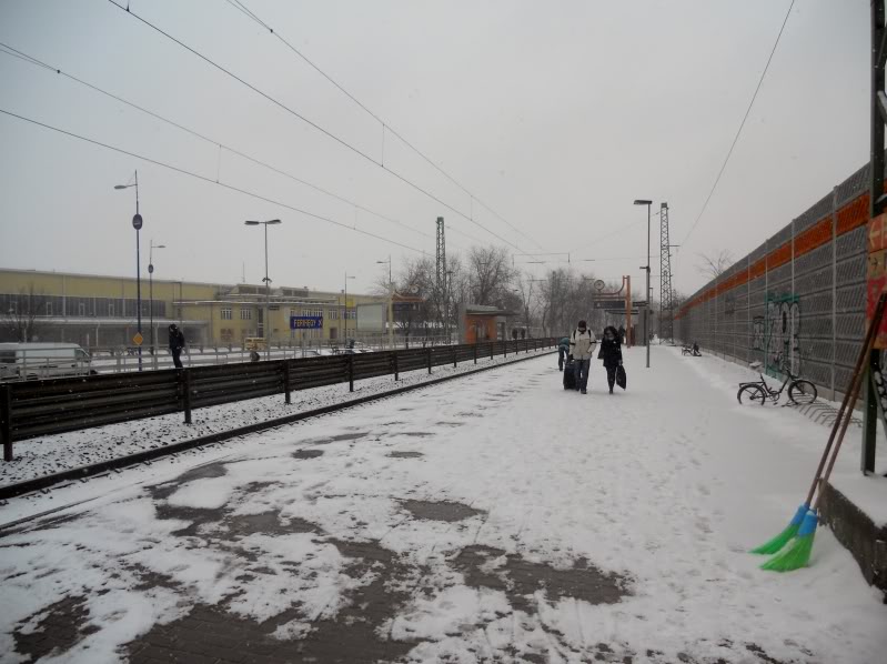 DSCN6885.jpg