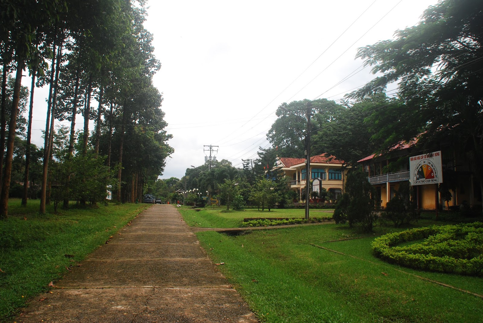 DSC_6916.JPG