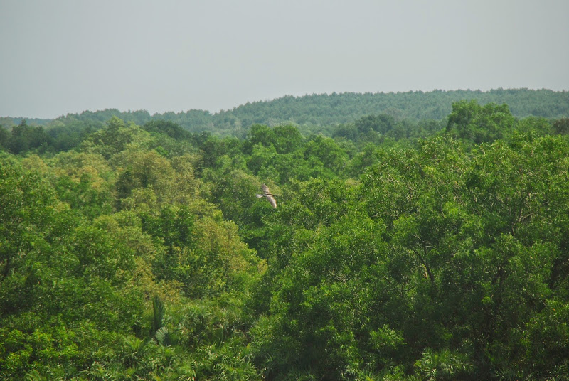 DSC_8811.JPG
