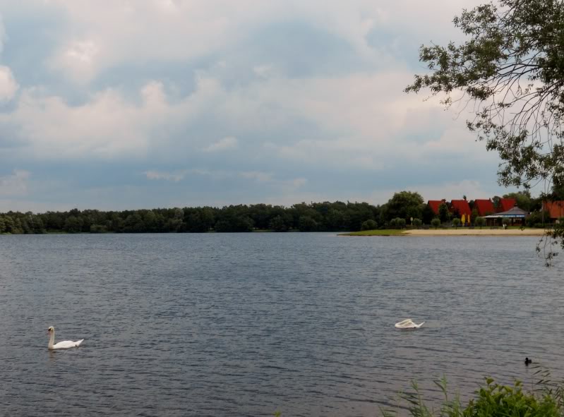 DSCN8501.jpg