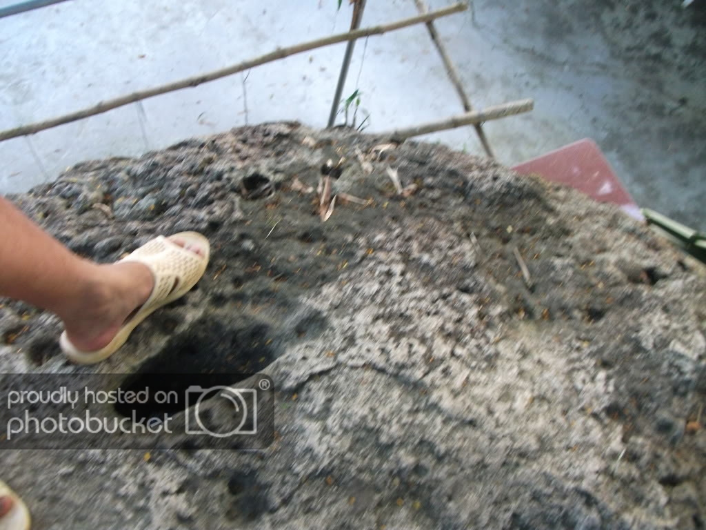 DSCF3531-1.jpg