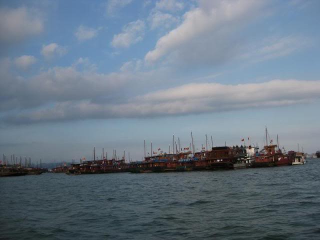 IMG_6996.jpg