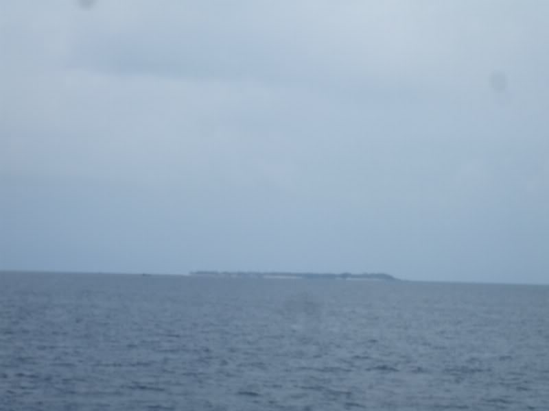 DSCF6686.jpg