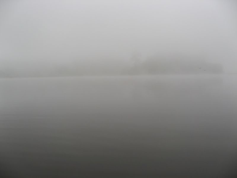 IMG_6616.jpg