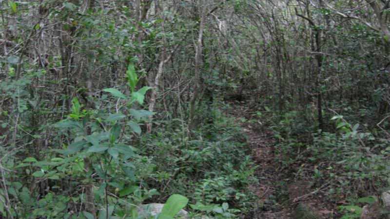 IMG_4555.jpg