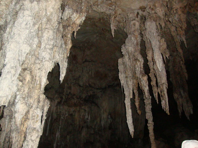 2010-09-24-cd-mb-1330-hua-ma.jpg