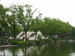 IMG_1039.jpg