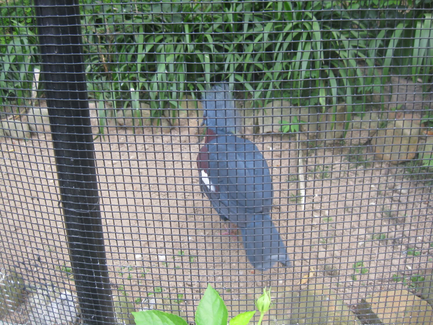 IMG_0165.jpg