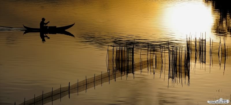 MAR_2067.jpg