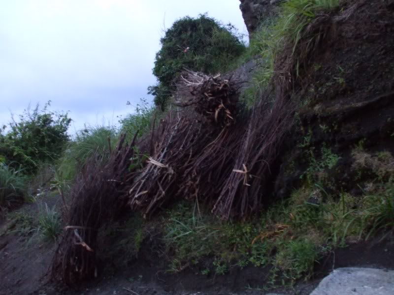 DSCF6884.jpg
