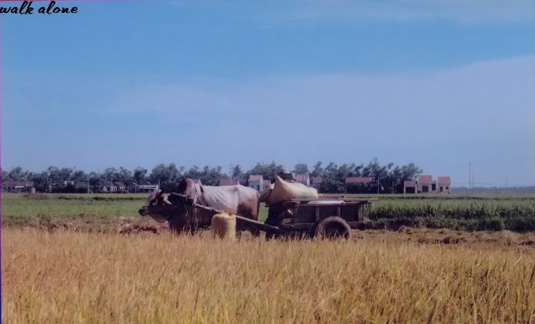 02copy3.jpg