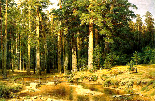 shishkin-timber.jpg